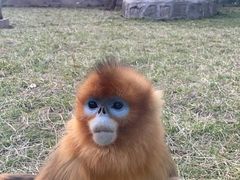 -西安秦岭野生动物园