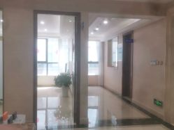 -碧莲盛·不剃发植发