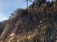 -缺牙山山庄