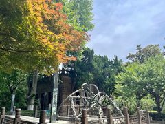-紫金山天文台
