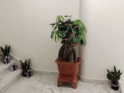 -海涛医疗美容·面部抗衰·注射美鼻