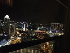 -新加坡瑞士史丹福酒店