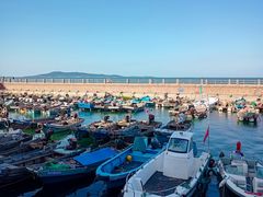 -悦海公园