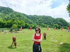 -狮子沟牧场
