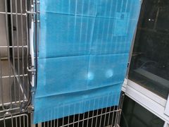 -宠福鑫康馨动物医院·骨科·眼科