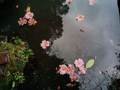 -杭州黄龙洞