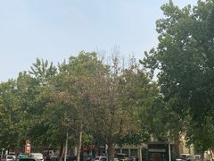 -清真马杰山牛肉汤馆