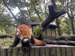 -云南野生动物园