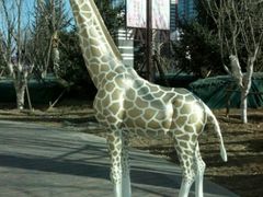 骄傲的长颈鹿-远洋未来广场(育慧北路店)