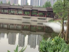 -重庆彩云湖湿地公园