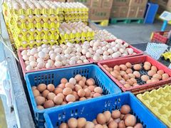 -江杨农产品批发市场