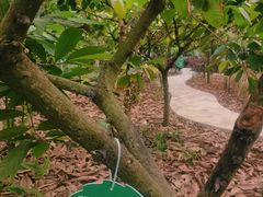 -歌斐颂巧克力小镇