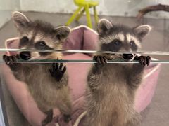 -FAIRYLAND龙族星球主题餐厅(凯丹广场店)