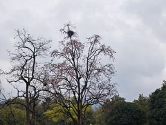 -秦始皇帝陵博物院-丽山园