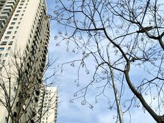 -幸福时光KTV(纬六路店)