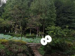 -重庆彩云湖湿地公园