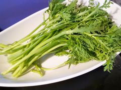 皇帝菜-锅说大脸毛肚重庆老火锅(佐阾店)