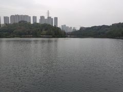 -重庆彩云湖湿地公园