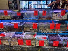 水产区-金海湾海鲜排档(朱家尖店)