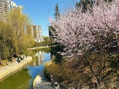 -团结湖公园