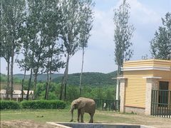 -哈尔滨北方森林动物园