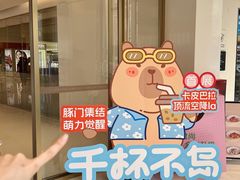 -东莞君尚