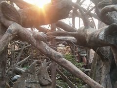 -长鹿旅游休博园