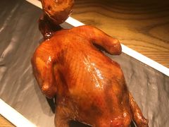 红烧乳鸽-大鸽饭(岗顶店)