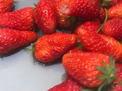 -喜家自助小火锅(乐客城店)