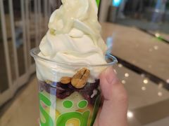 冻酸奶-Salud撒露欧洲冻酸奶(蓝色港湾店)