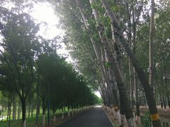 -东郊湿地公园