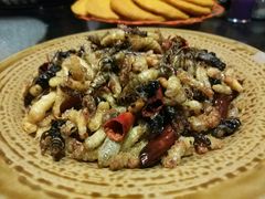 -昆虫窝子·特色云南菜(拓东路总店)