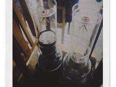 -VOYAGE COFFEE(北锣鼓巷店)