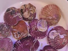 -苏大嘴蒸汽海鲜·海胆蒸饺(中山广场店)