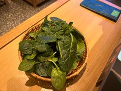 -季季山·云南野生菌火锅(上海首店)