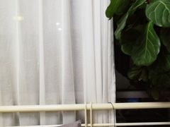 -山人摄影·摄像跟拍·视频拍摄·企业外拍