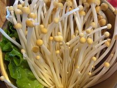 -月满大江千层肚火锅(锦城大道店)
