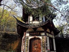 -上海佘山国家森林公园西佘山园