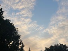 -深圳龙潭公园