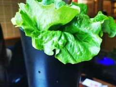 -九田家黑牛烤肉料理(二天地店)