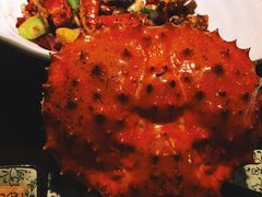 蟹之国-蟹之国·精品蟹料理(极地店)