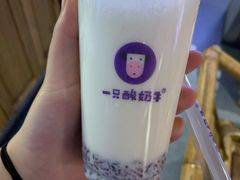 -一只酸奶牛(八一路店)