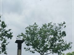 -八仙过海景区