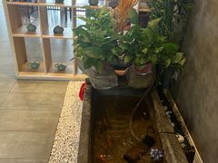 -正清和·推拿养生(第五郡店)