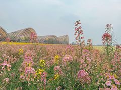 -中国天府农业博览园