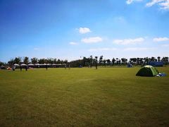 -春花秋色城市公园