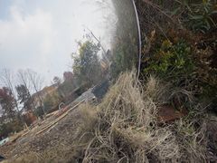 -浙江农林大学(东湖校区)