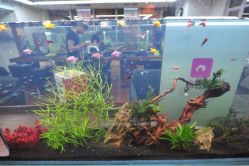 iphone_upload_pic-小左美发