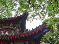 -灵谷景区