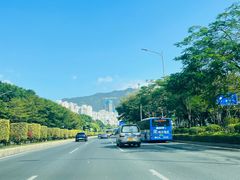 -梧桐山风景名胜区